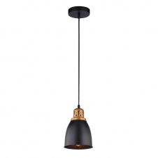 Подвесной светильник Arte Lamp Eurica A4248SP-1BK